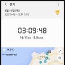 서호월평영농조합법인 | 제주 올레길 15A 코스 [한림항 ~ 고내포구] - 2021.03.11 (목)