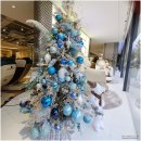 그린트리메디칼 이미지