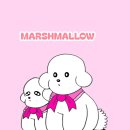 남궁식당 | 뉴욕 피터루거 스테이크 윌리엄스버그 I 강아지랑 뉴욕 여행 EP.22