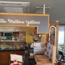 멜로옐로(mellow yellow)