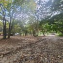 감상마트 이미지