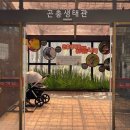 경기 광주| 화담숲 방문기(아기랑, 주차꿀팁, 모노레일 시간에 늦었을때)벚꽃 개화