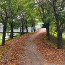 별내역사문화공원[별내-5] | 남양주 별내, 우리 동네 힐링여행 가을 단풍 구경, 낙엽이 쌓였네!