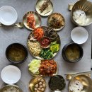 도립애경사났네