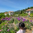 정원산책카페 | 무주 아이와 정원 산책, 덕유산 근처 디저트 카페 후기