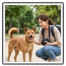 빌리지독 이미지