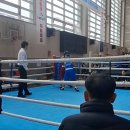 원투복싱클럽(개운점) | 천안복싱 &amp; 천안복싱장 찾는다면? 두정동 ‘두정복싱클럽’이 왜 인기일까!