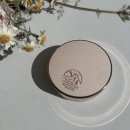 기성 비소 제01호 | [내돈내산] 리뷰박사 일상 0501 - 뷰디아니 메쉬 타이트 업 쿠션 01호 (승무원쿠션)