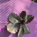 정관무지개유치원 이미지