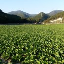 장전농장 이미지