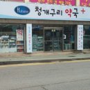 청개구리약국 이미지