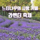 양산 라벤더 축제 대형카페 사전예약 주말 후기 [느티나무의 사랑]