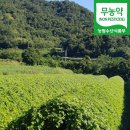 노원-상계-2224 이미지
