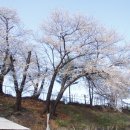 남평초교 이미지