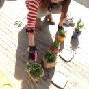 하귤소담 이미지