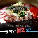 동해안물회