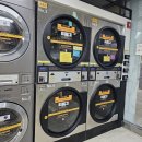 펭귄빨래방 이미지