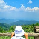 삼양자동차 | [강원도 평창 여행] 대관령 삼양목장 완벽 정복 후기! (양떼몰이쇼, 목재 체험, 이용 꿀팁 총정리)