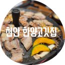 한양(아) | 천안 한양고깃집 / 청당동 가족외식 회식 솥뚜껑 삼겹살 내 돈 내산 솔직후기 아쉬운 점 청수동 맛집