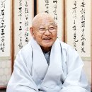 대종사