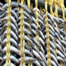 서울(경의선숲길) 이미지