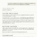 같은 상담, 다른 조언 - Claude와 Gemini 이미지