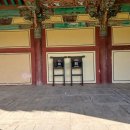 홍산객사 은행나무 이미지