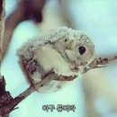 세마이 - 금정구 장전로12번길 30 | 세마이
