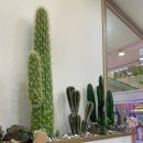 제주한우리 | 제주 여행 : 김포공항 근처 맛집 온정 롯데몰 김포공항점 솥밥 맛집 다녀 온 내돈내산 후기