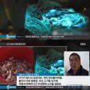 고기본