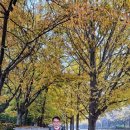 중앙대학교 커뮤니케이션대학원 이미지