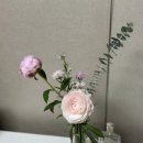 신대중흥S클래스공인중개사사무소 | 중흥S클래스 1차 아파트