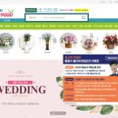 배철수 플라워