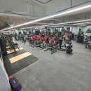 김현진153GYM Daum카페