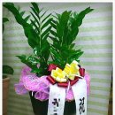 뜰아래플라워 이미지