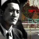 [스크랩] 박인희 - 세월이 가면