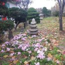 애보박물관 이미지