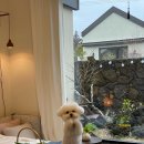 더포레스트 이미지