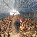 태희농장 이미지