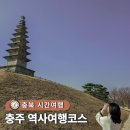 충주농협 중앙탑지점 | 충주 11월 가볼만한곳 역사 여행코스 국립충주박물관 및 중앙탑