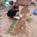 메종펜션 이미지