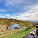 찬주목장 이미지