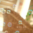 하루니스튜디오 이미지