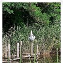 화랑공원 이미지