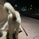 살롱드 멍 이미지