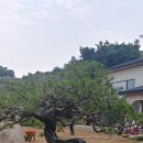 태경조경 이미지