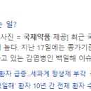 디아이인터내셔널 이미지