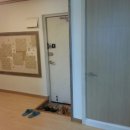 제물포여자중학교 이미지