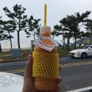 산정천 | [수고한 우리에게 3박 4일 제주 여행] 제주뚜벅이여행/함덕서우봉해변/사려니숲길/아이미제주비치호텔 후기