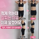 7일다이어트 | 퀵바디 10일다이어트 7일차 후기｜몸무게보다 먼저 달라진 납작배 눈바디 (+ 뉴스킨 웰스파 )
